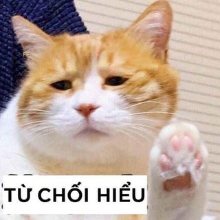 chi-can-do-la-dieu-ngai-muon-toi-se-lam.jpg