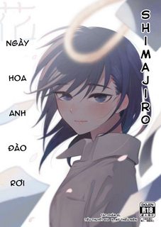 ngay-hoa-anh-dao-roi.jpg