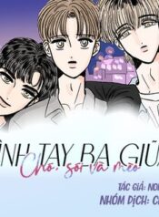 tinh-tay-ba-giua-cho-soi-va-meo.jpg