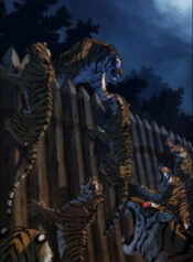 anh-trai-toi-la-ho-2