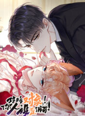 cong-luoc-doi-tuong-hinh-tuong-cua-cau-sap-roi-1-1