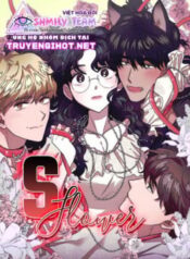 s-flower-doa-hoa-mau-s