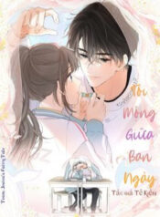 toi-mong-giua-ban-ngay