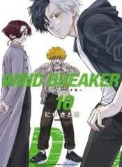 wind-breaker-nii-satoru-