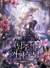 novel-chi-gai-gia-mao-cua-nam-chinh